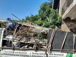 Best Attic Cleanout  in Burbank, CA